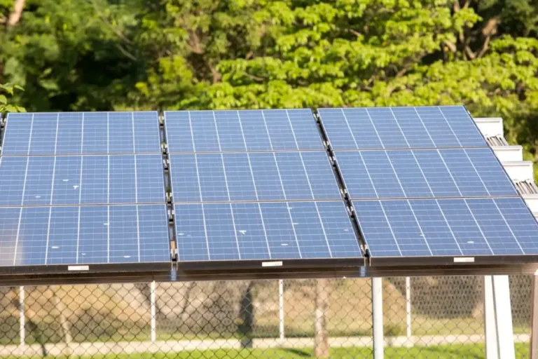 leilão eco invest brasil proteção cambial prancheta 1