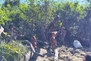 malária indígenas recente contato amazonas