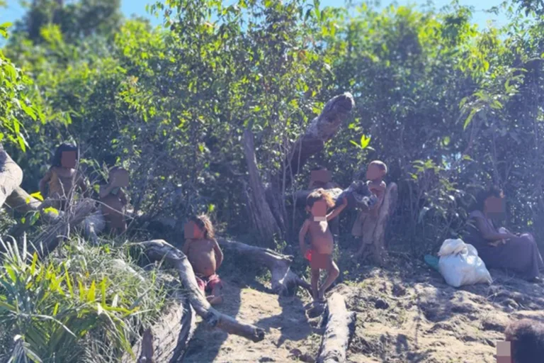 malária indígenas recente contato amazonas