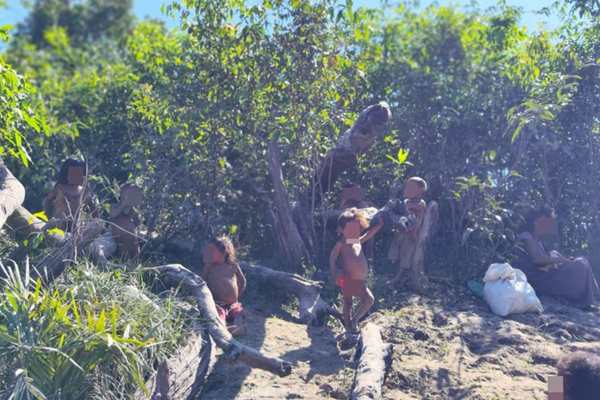 malária indígenas recente contato amazonas