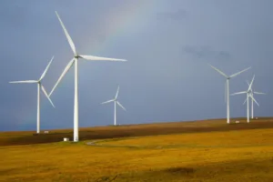 metas climáticas relatório onu cop30