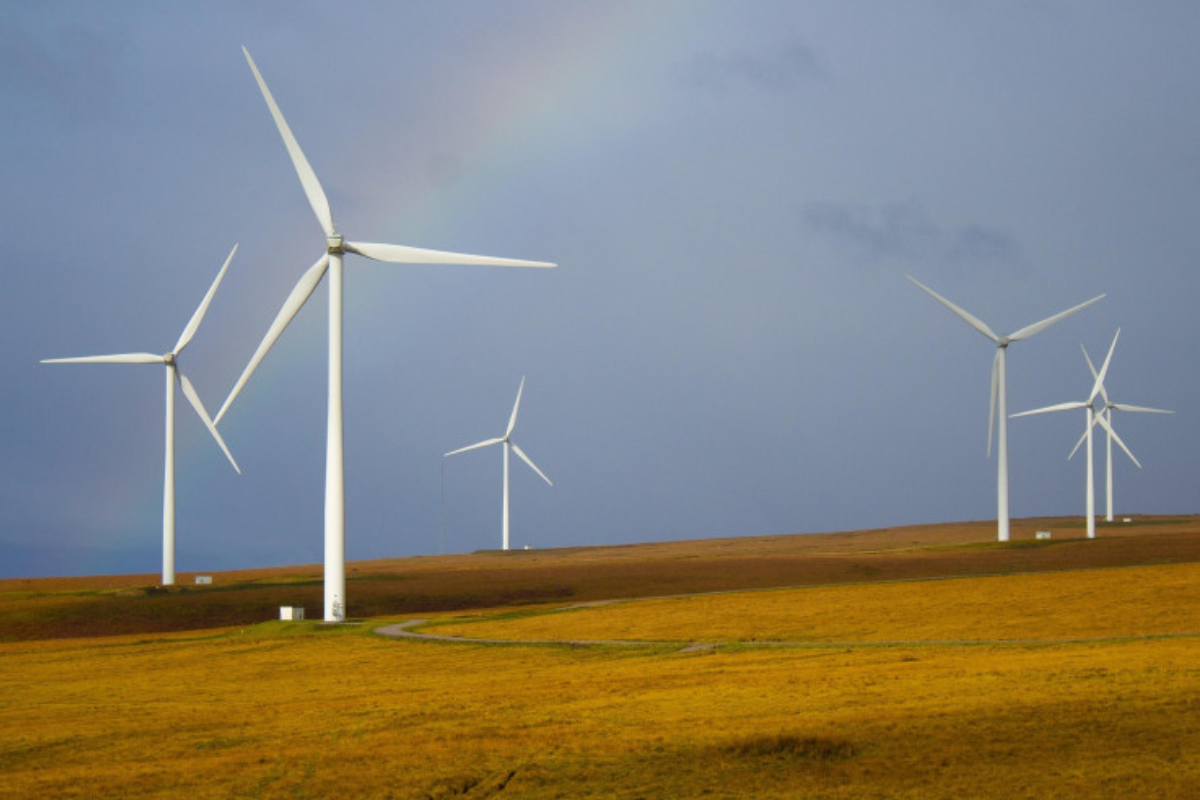 metas climáticas relatório onu cop30