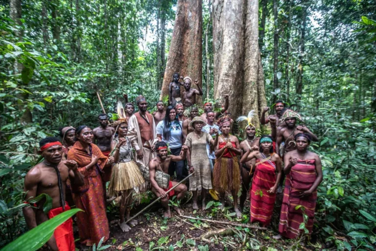 proteção florestas