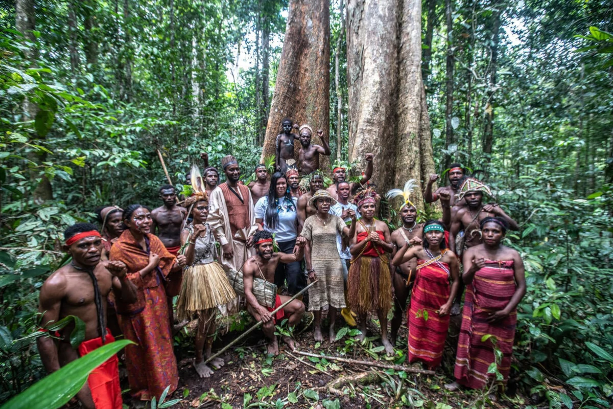 proteção florestas