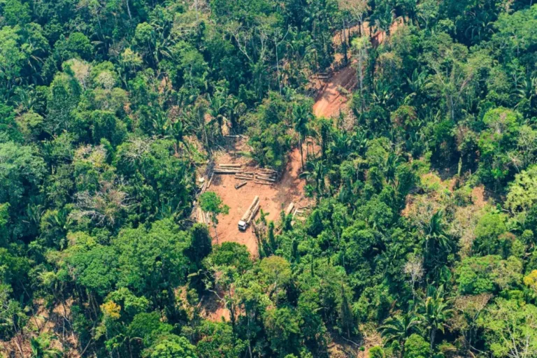 agronegócio suspensão demarcações terras indígenas stf