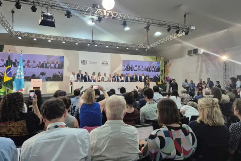 cop30 apoio ao mapa do caminho