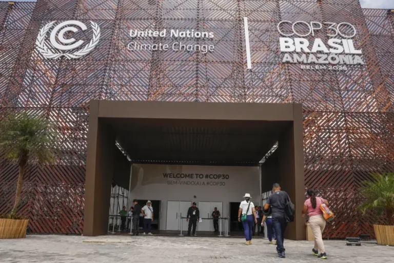 integrantes setor petróleo e agro credenciais cop30