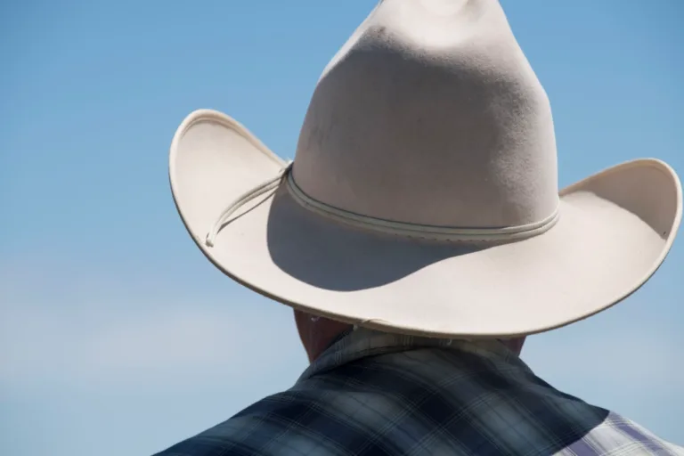 lobistas agronegócio cop30