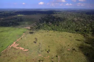 stf processos moratória da soja