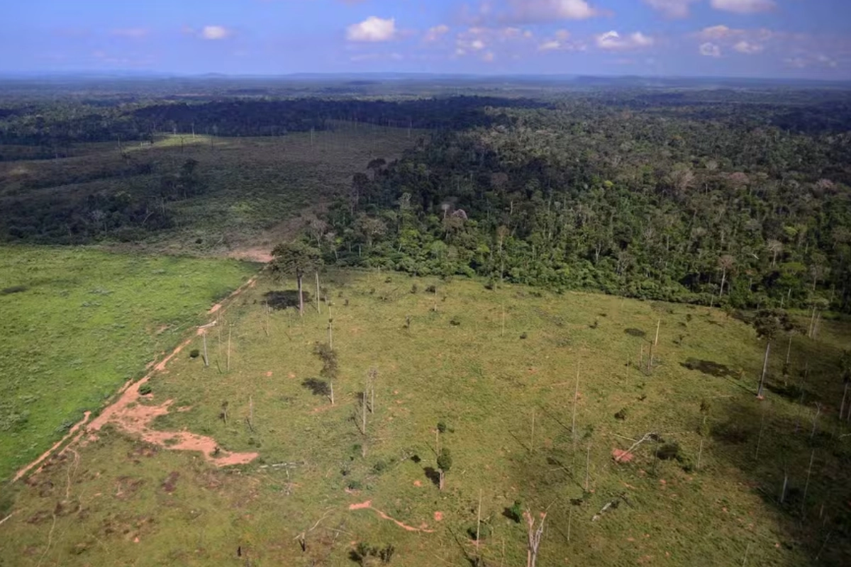 stf processos moratória da soja