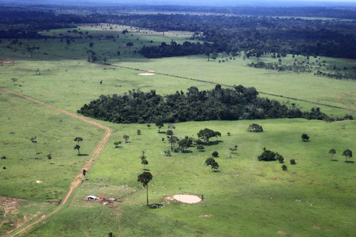 amazônia área sem destinação