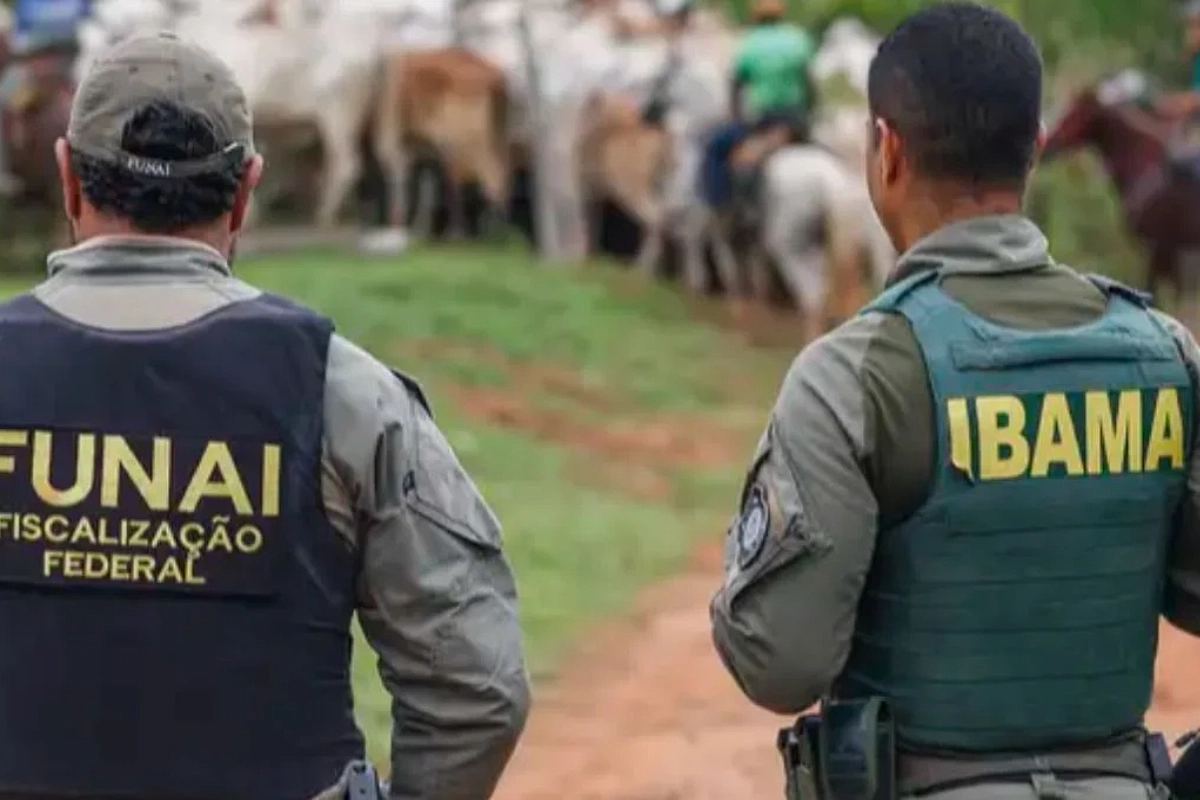 colaborador ibama morto invasores ti apyterewa