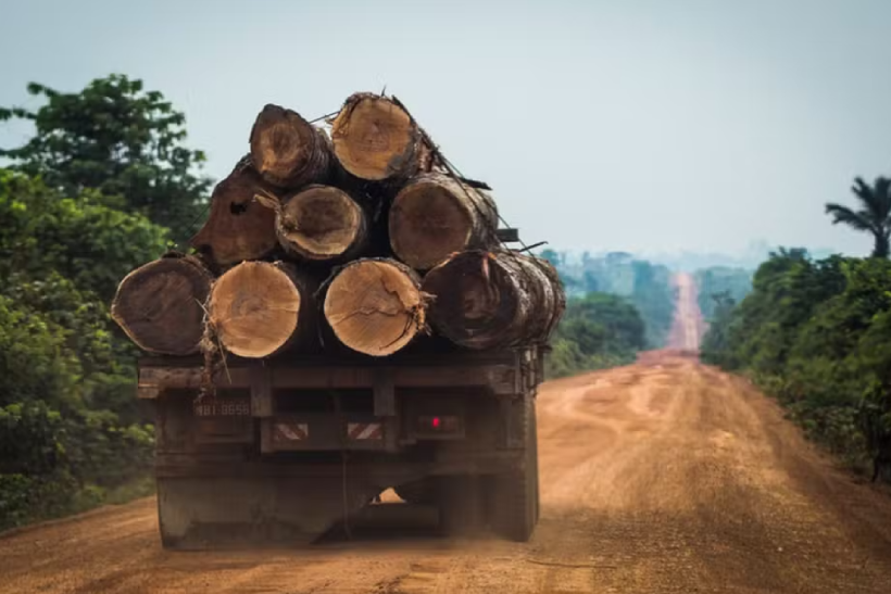 extração ilegal de madeira Áreas protegidas amazônia legal