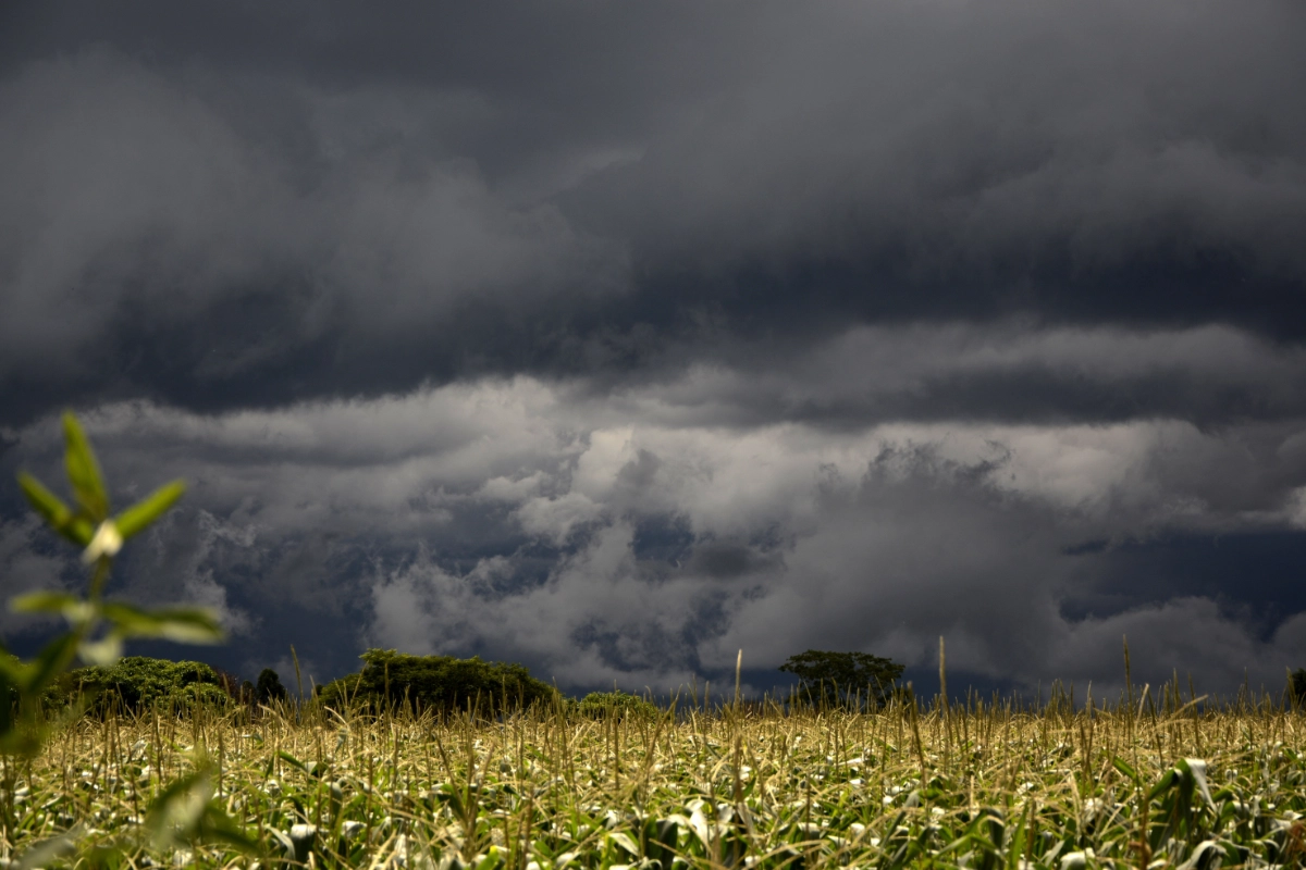 la niña clima extremo perda de bilhões