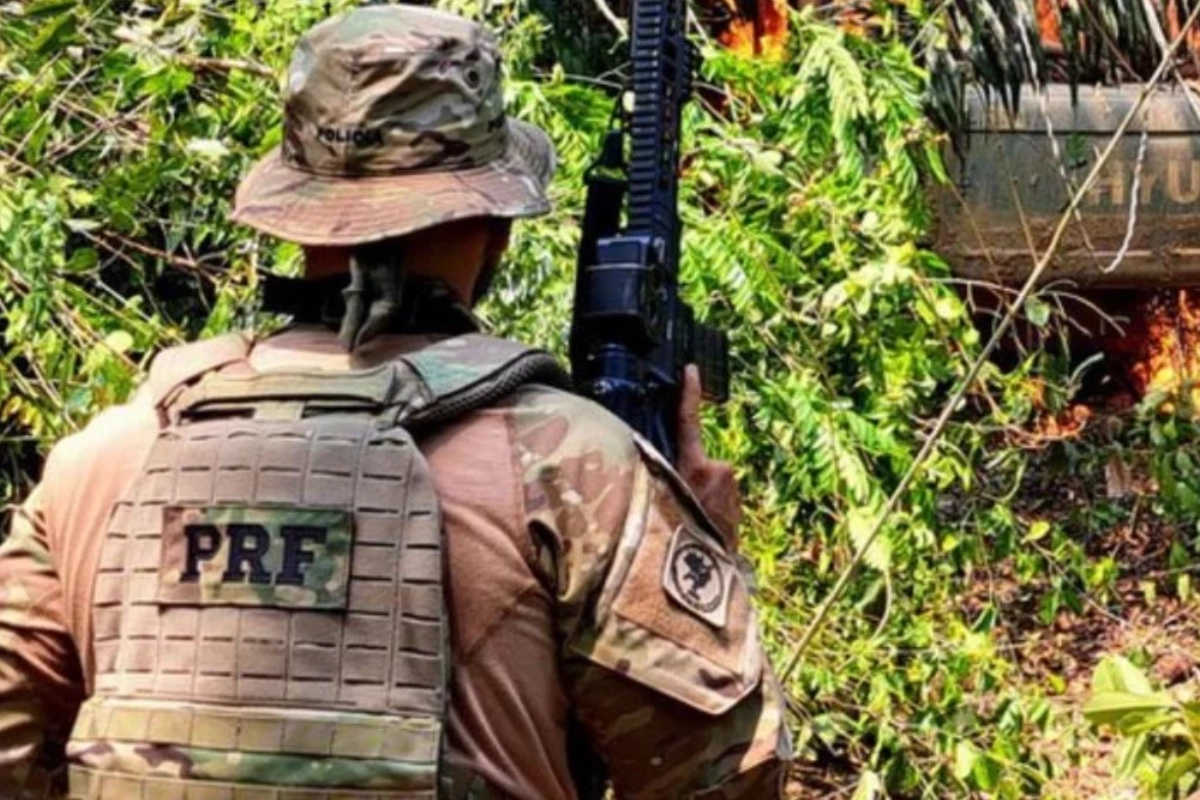 pl da devastação constituição