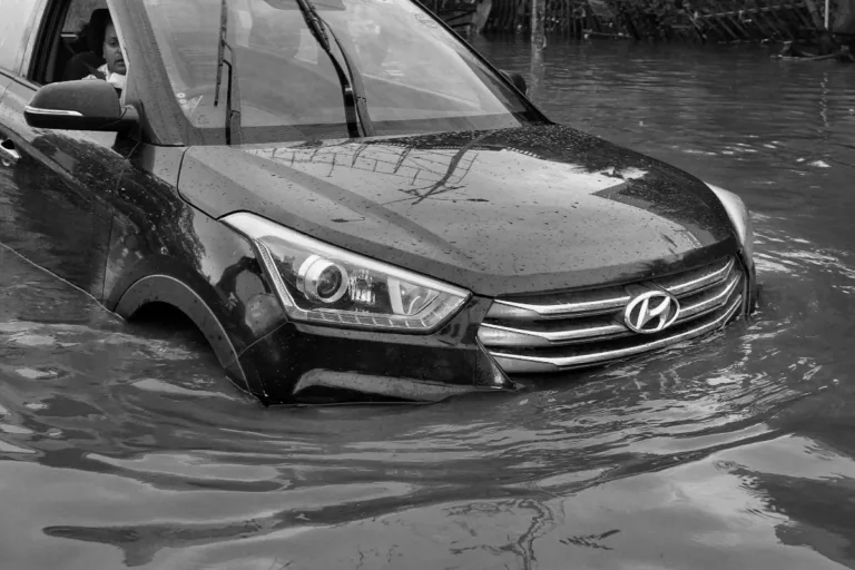 prejuízos chuvas extremas Ásia