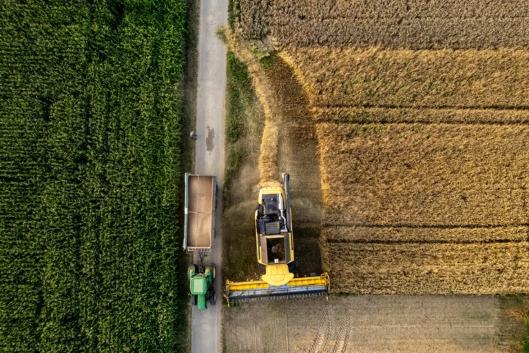 produção de alimentos combustíveis fósseis danos ambientais