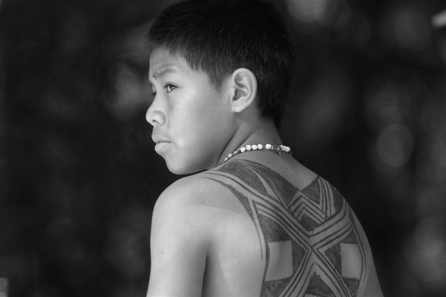 senado pec marco temporal