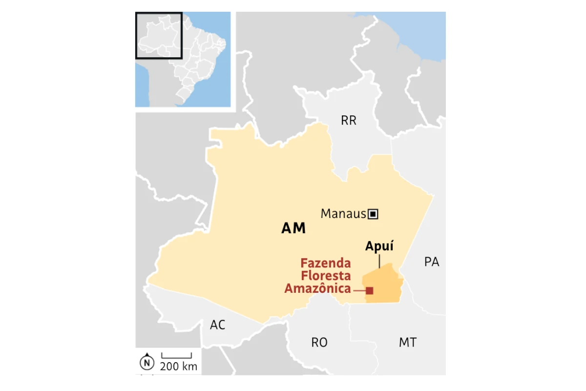 banco máster créditos de carbono