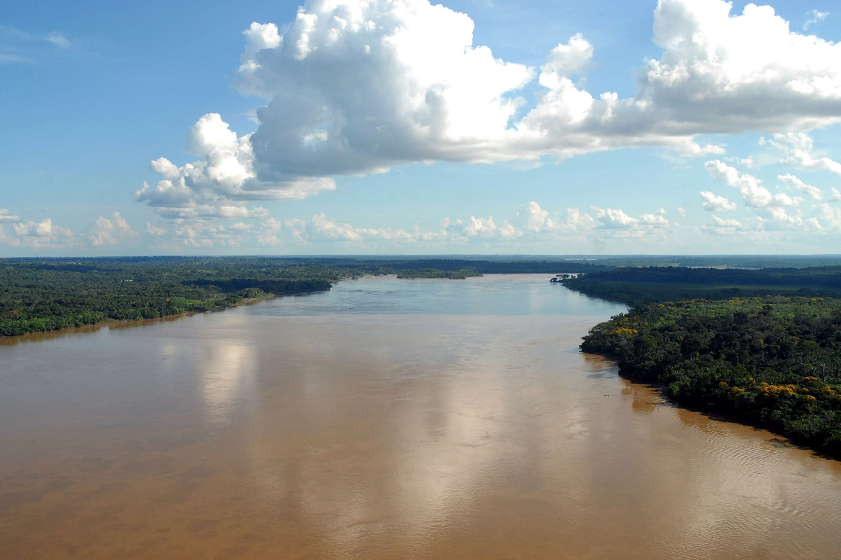 pescadores cientistas impactos hidrelétricas madeira