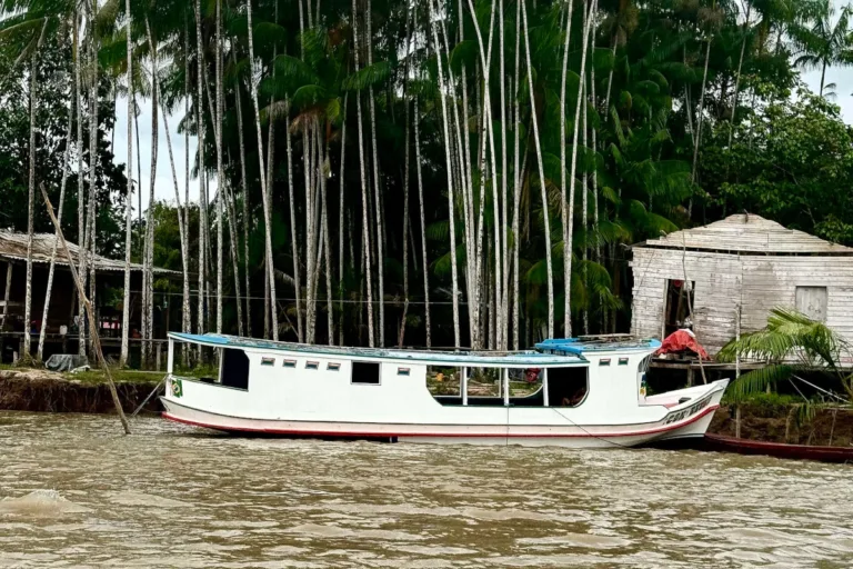 ribeirinhos foz do amazonas