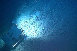 trump mineração fundo do mar águas internacionais