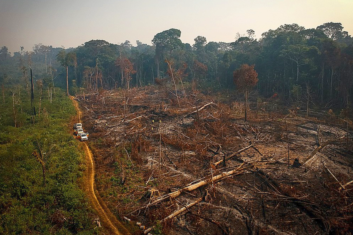 brasil corte desmatamento meta emissões plano clima