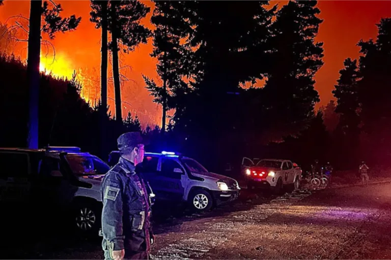 incêndio florestal argentina