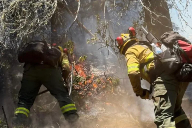 incendio patagonia
