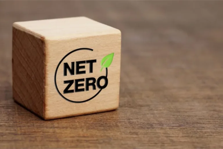 net zero