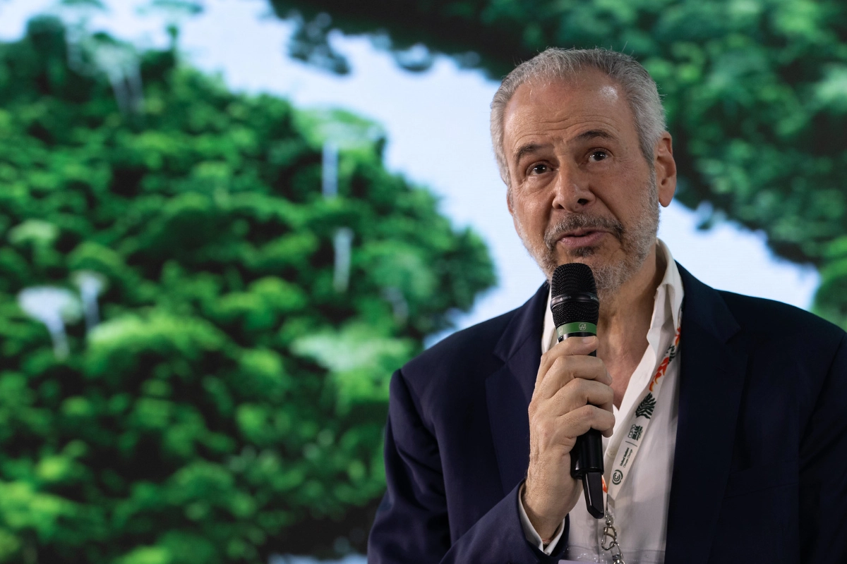 ongs mapa do caminho contra combustíveis fósseis