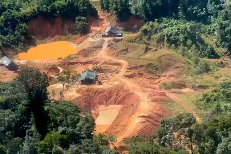 pl da devastação stf