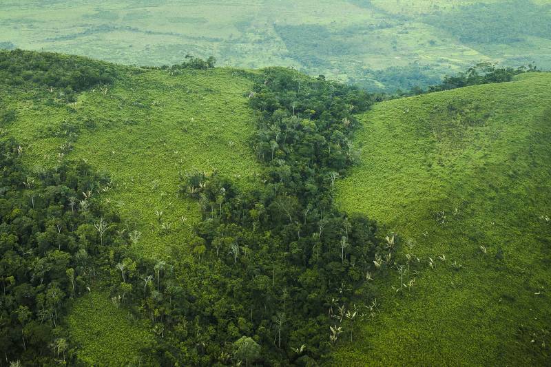 stf desmatamento amazônia