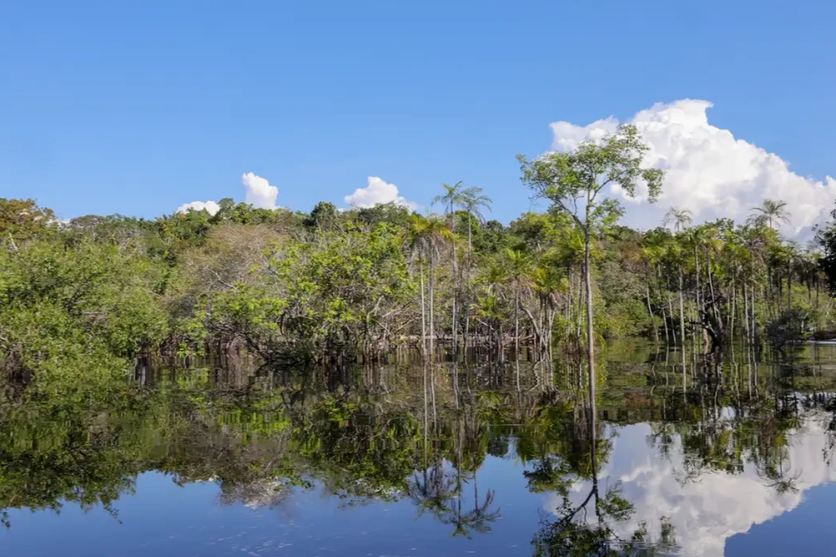 fundo clima reduzir emissões fundos internacionais