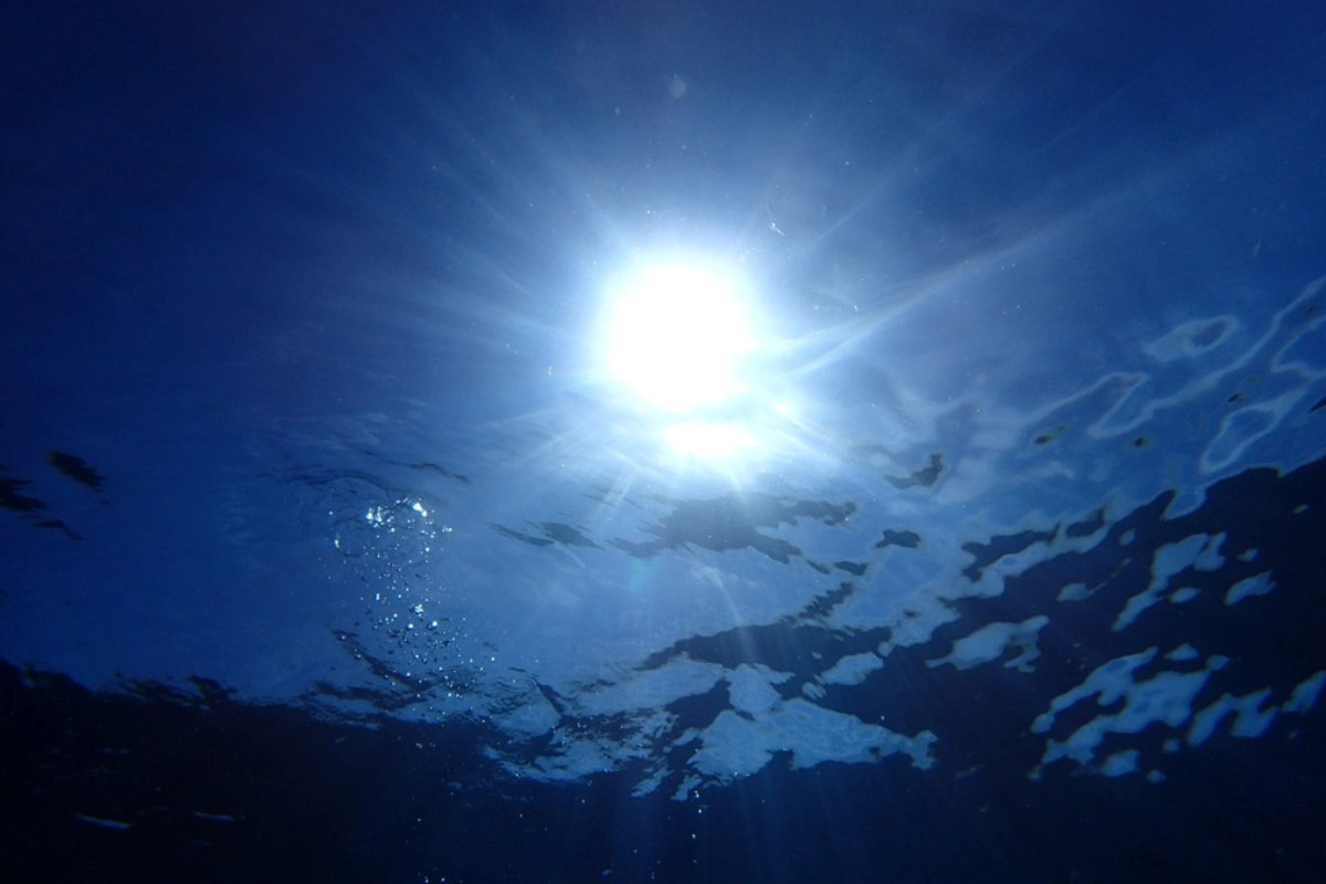 nível oceanos estudo