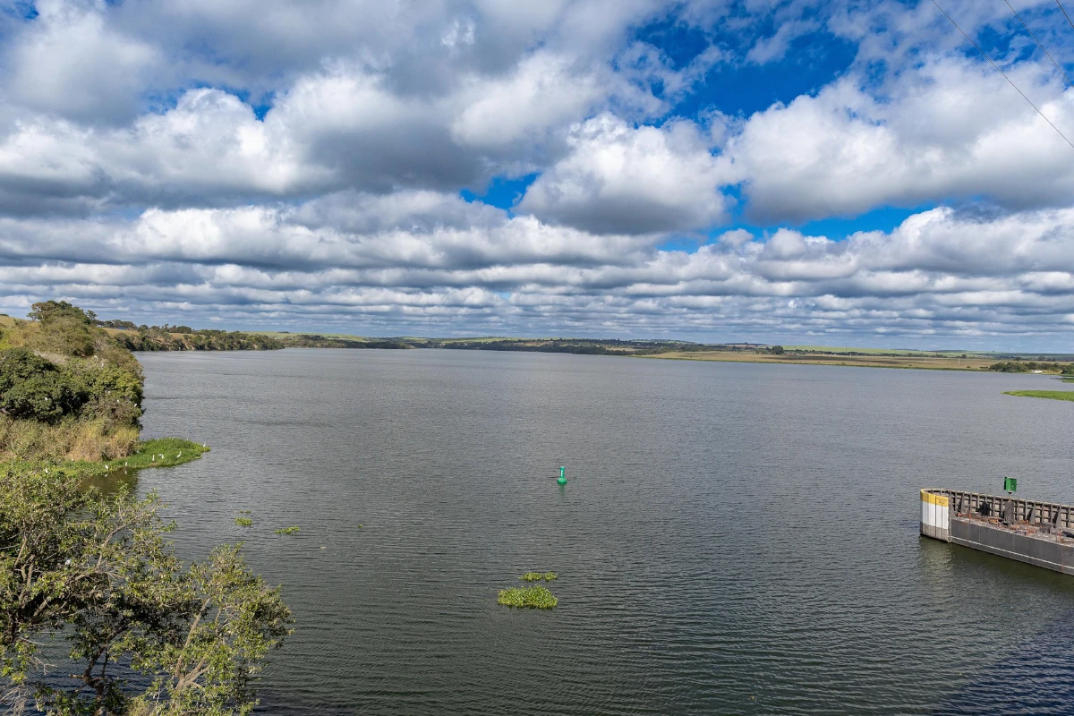 rios mata atlântica