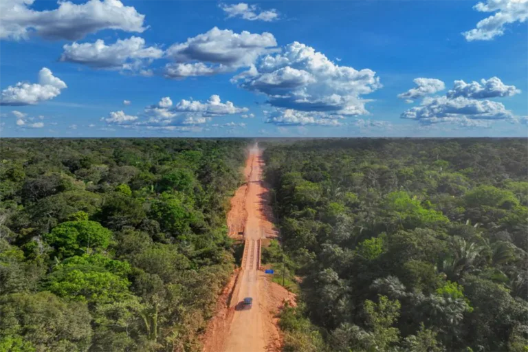 asfaltamento br 319 pandemias
