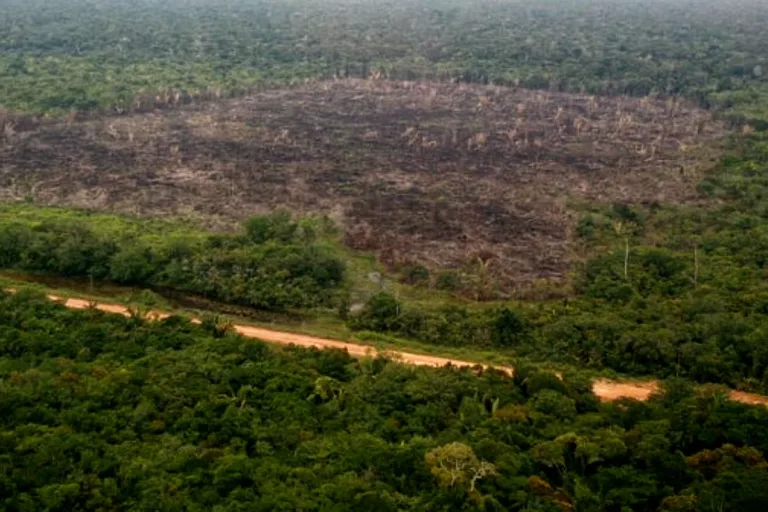 governo br 319 entraves ambientais