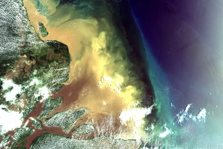 petróleo foz do amazonas renováveis