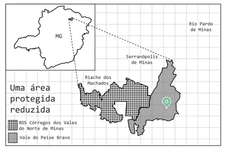 unidade conservação mg