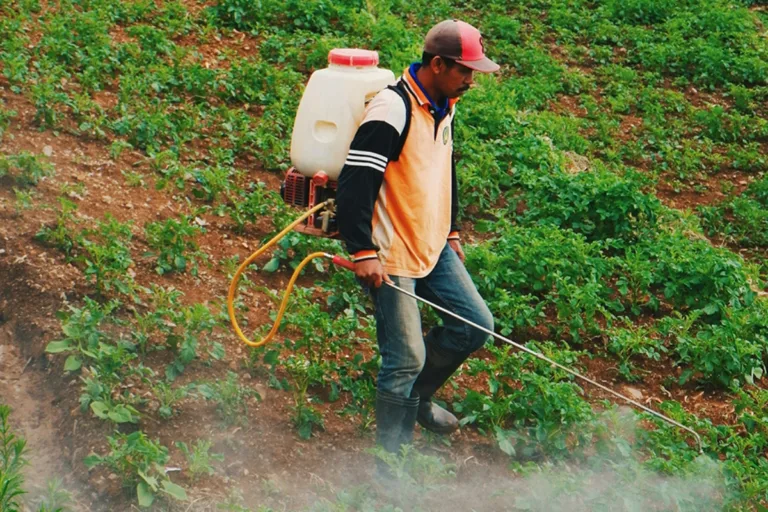 bayer agrotóxico