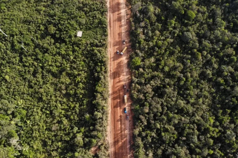 br 319 asfalto amazônia