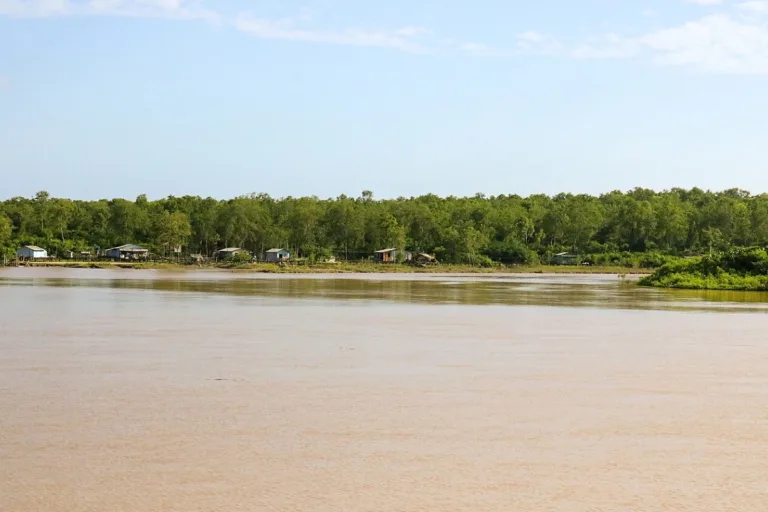 combustíveis fósseis amazônia