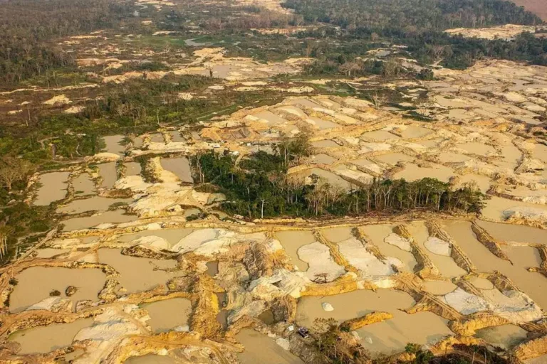 garimpo terra yanomami