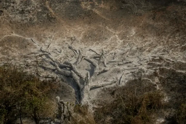 mudanças climáticas brasil seca