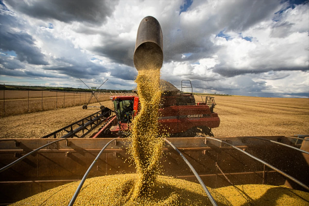 agro soja