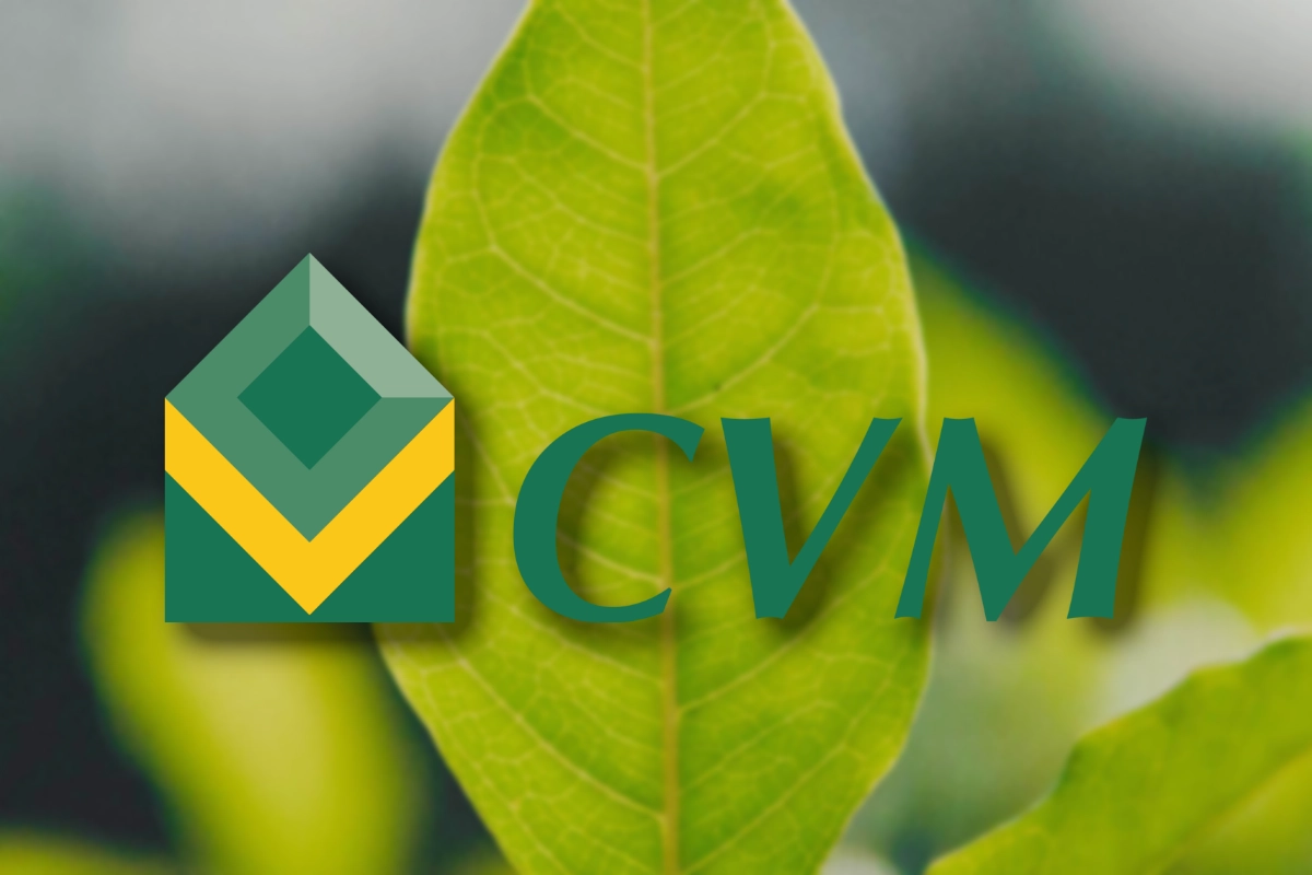 cvm sustentabilidade